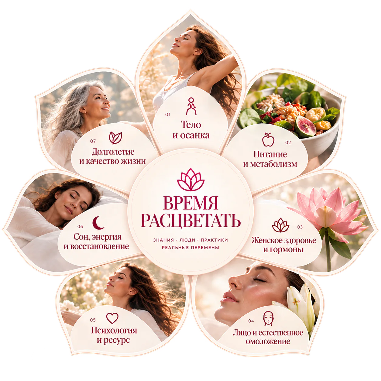 Карта расцвета — семь направлений женского здоровья и красоты